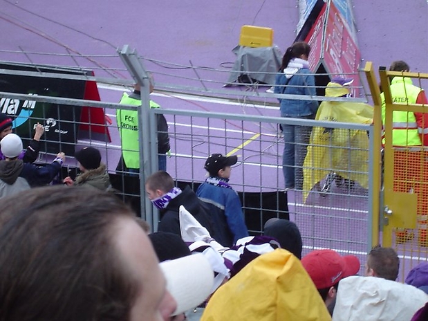 31 stiller Beobachter