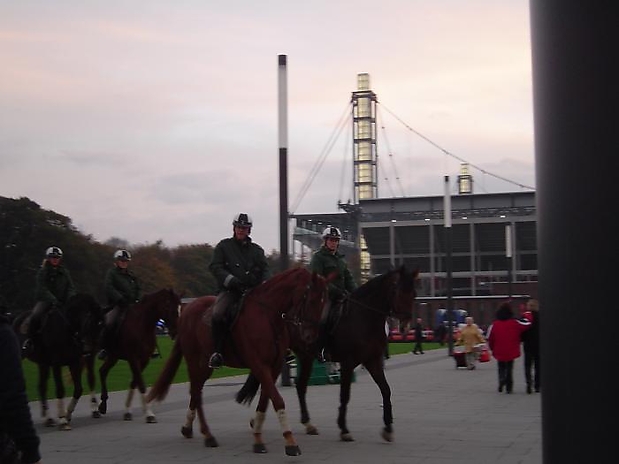 06 Reitstunden auch in Köln
