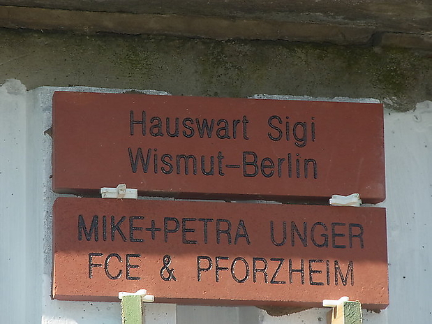 Veilchenstein 10