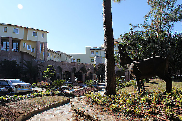 28.Arcadia Hotel