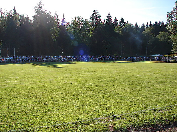 the green