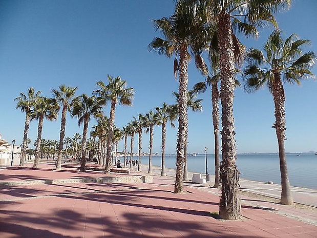 28.Am Strand von Los Alcázares