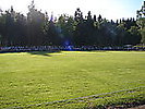 the green the green